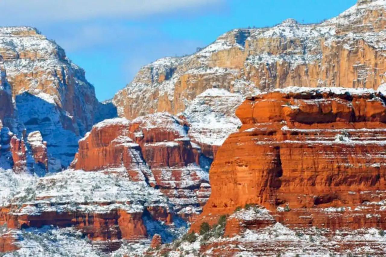 The Mountain Lion - Horses Sedona'S Most Loved Eksteriør billede